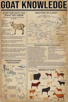 Козе знание Метален калаен знак Анатомия на козата диаграма Плакат за произведения на изкуството на Wallart Ферма училище Офис хора Пещерна спалня декор